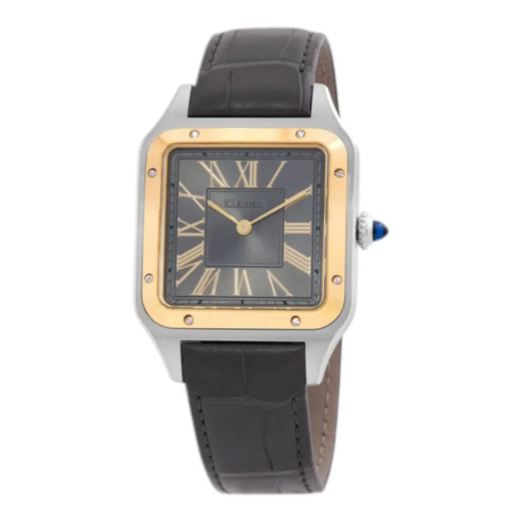 Cartier Santos-Dumont LM. W2SA0036