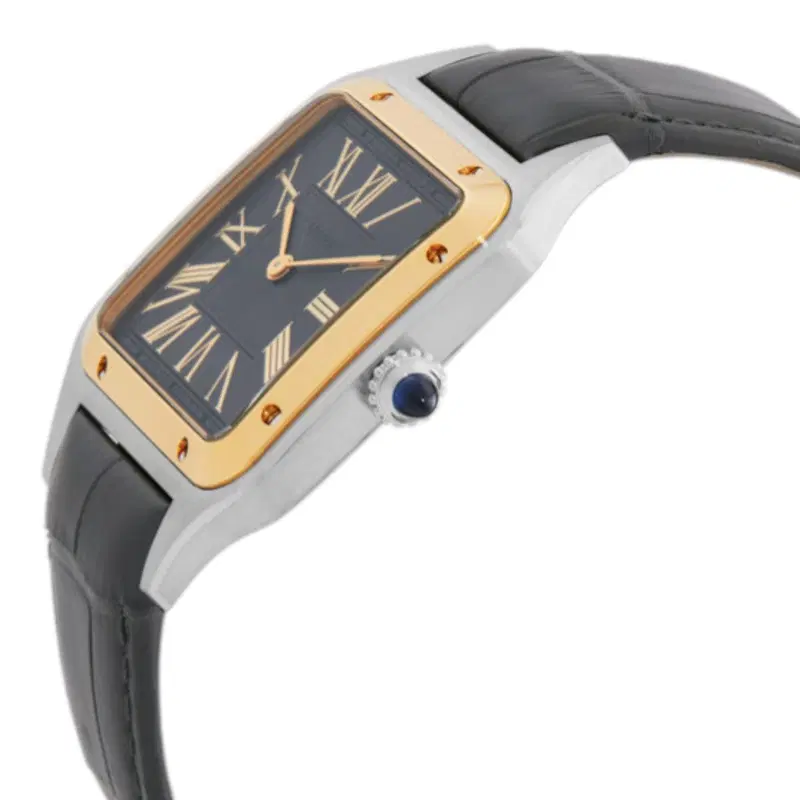 Cartier Santos-Dumont LM. W2SA0036