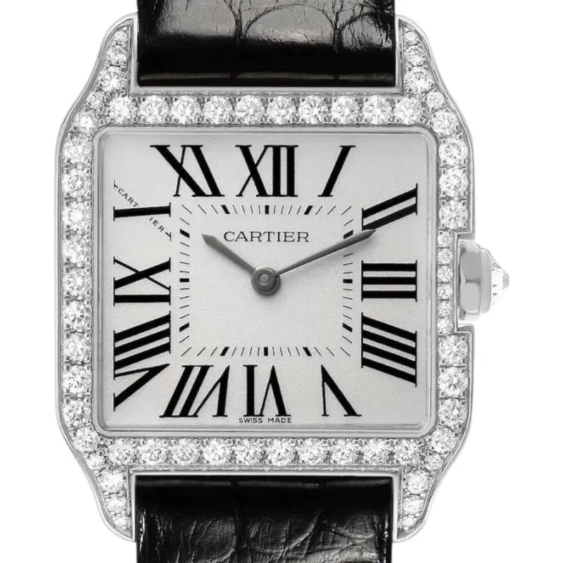 Cartier Santos-Dumont. WH100251