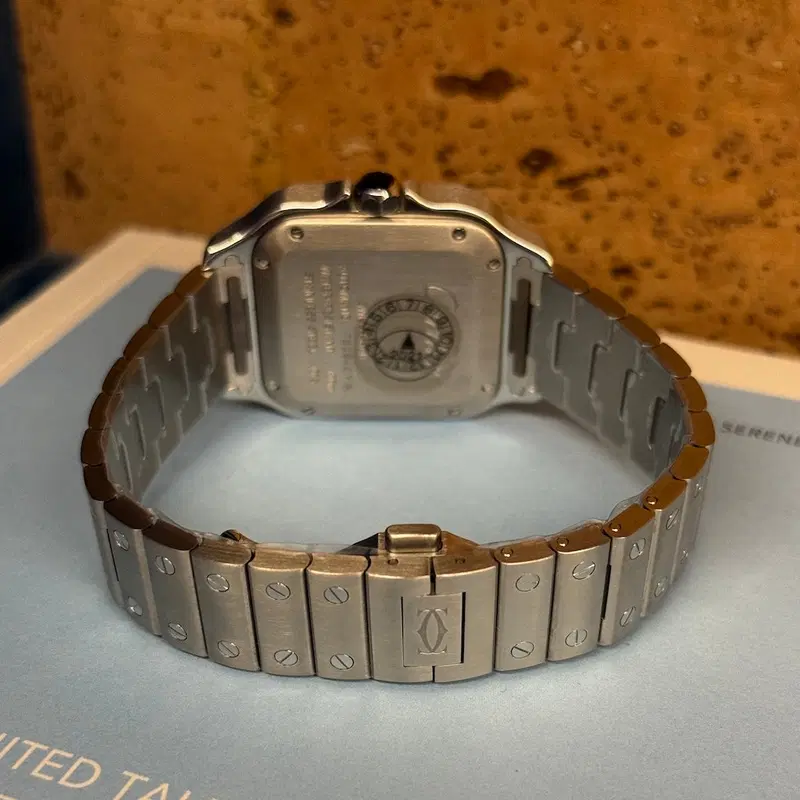 Cartier Santos M Blanc. WSSA0010