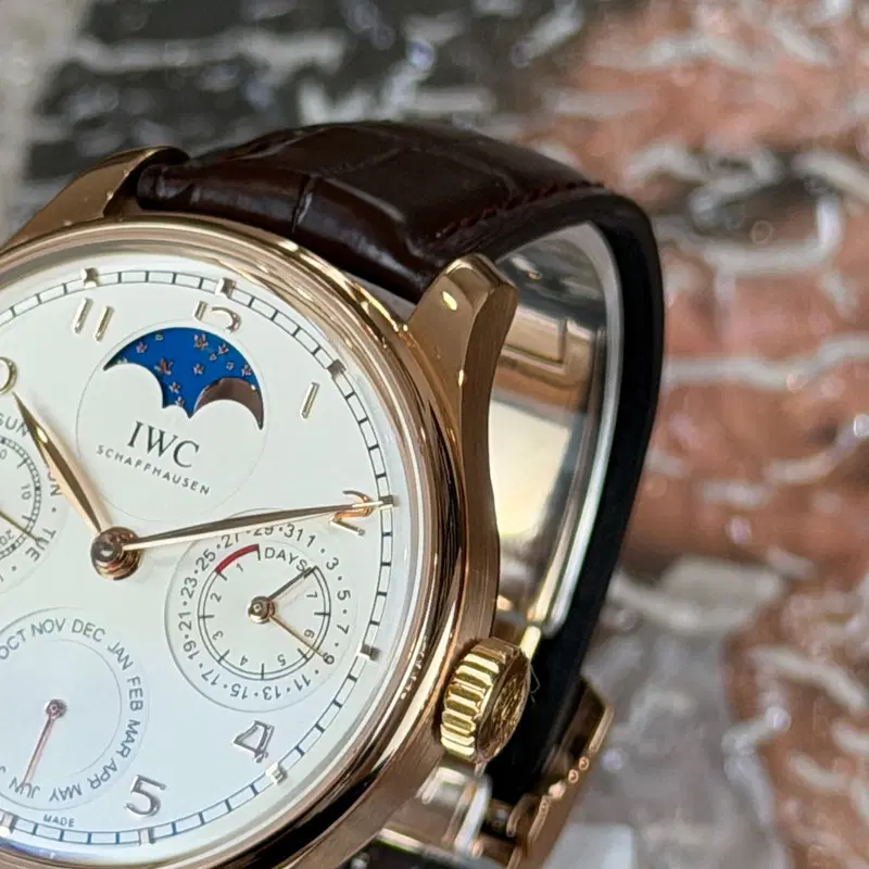 IWC Portuguese Perpetual Calendar. IW503302