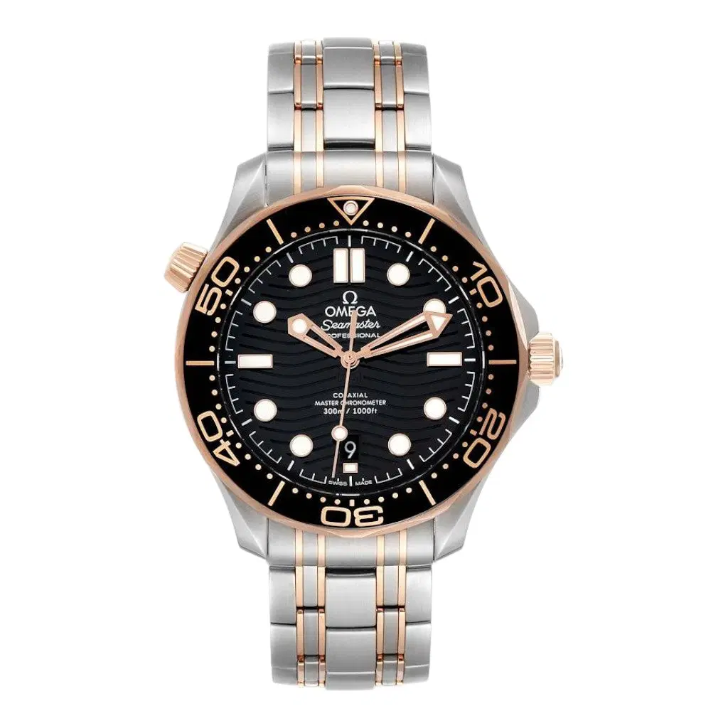 Omega Seamaster. 210.20.42.20.01.001