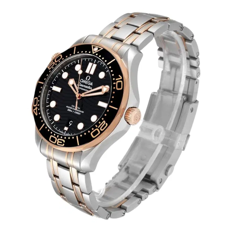 Omega Seamaster. 210.20.42.20.01.001