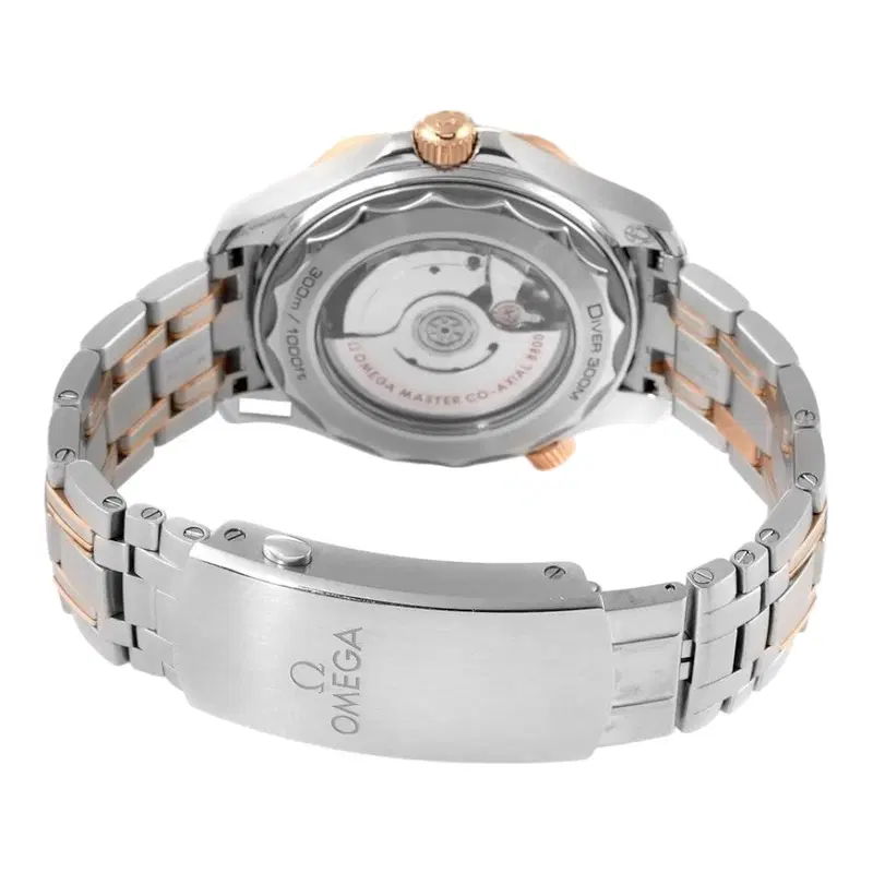 Omega Seamaster. 210.20.42.20.01.001
