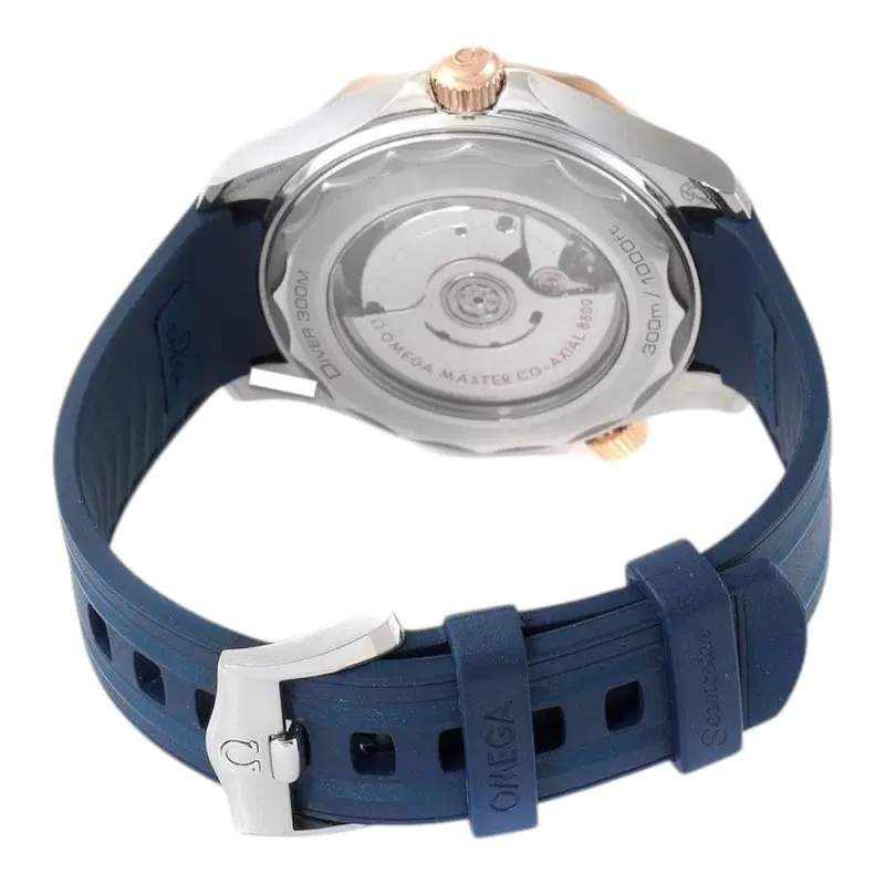 Omega Seamaster. 210.22.42.20.03.002