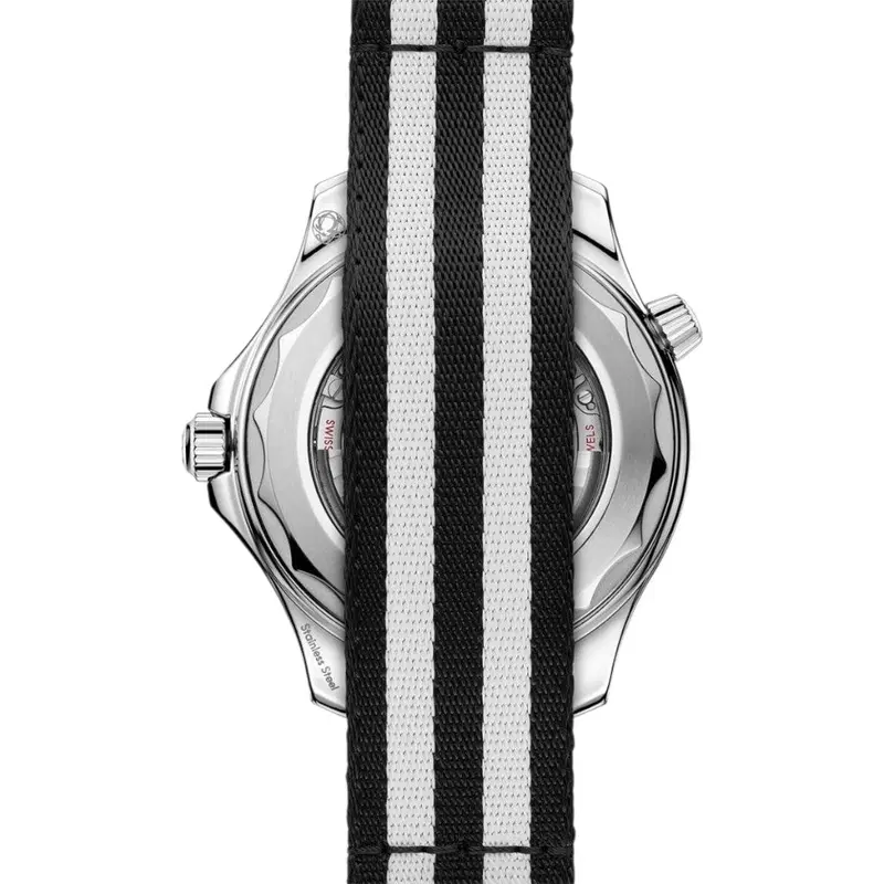 Omega Seamaster. 210.32.42.20.01.005