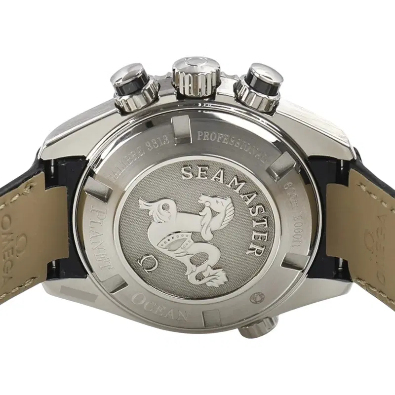 Omega Seamaster. 222.18.38.50.01.001