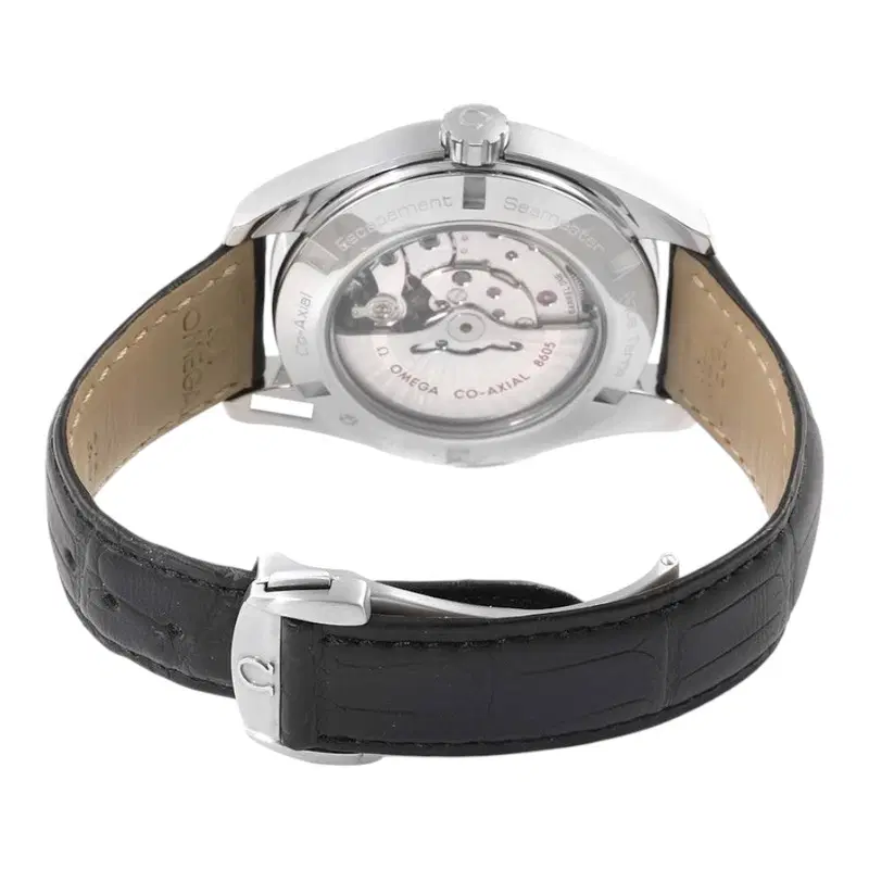 Omega Seamaster. 231.13.43.22.01.001