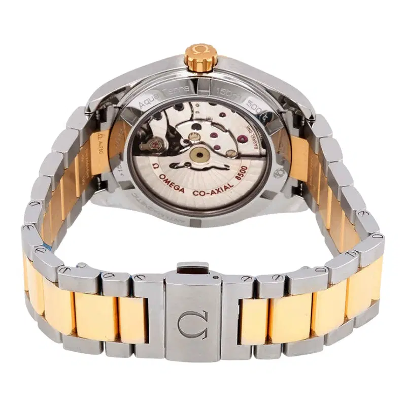 Omega Seamaster. 231.20.39.21.55.004