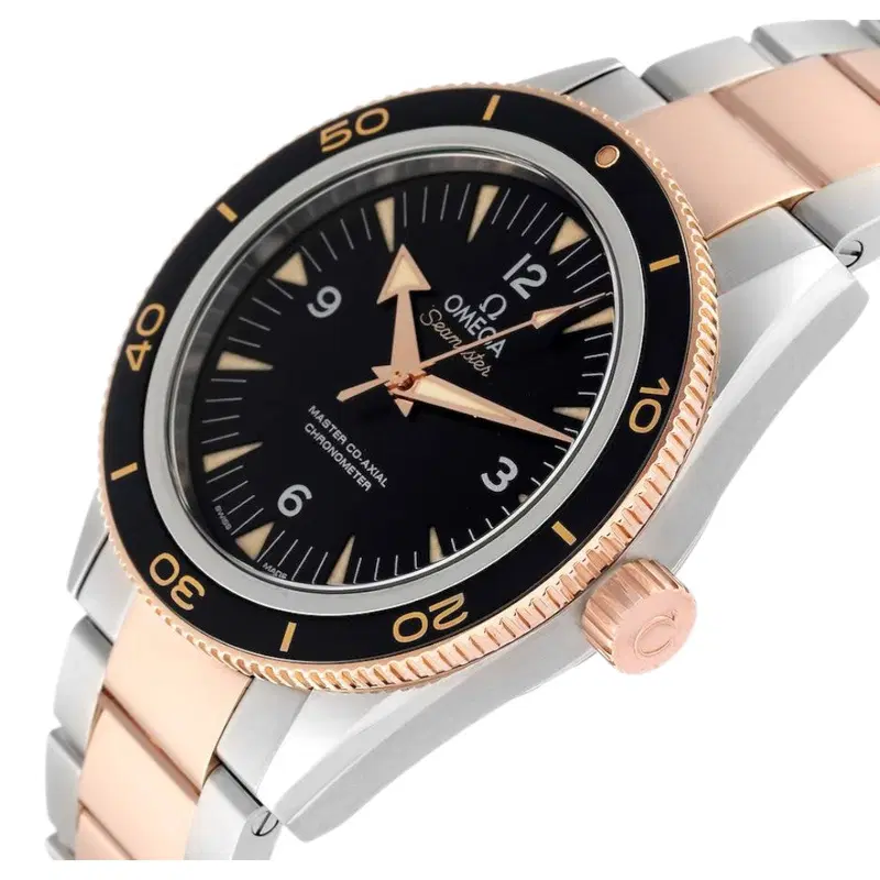 Omega Seamaster 300. 233.20.41.21.01.001