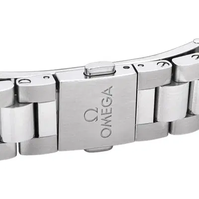 Omega Seamaster Aqua Terra. 220.10.30.20.03.001