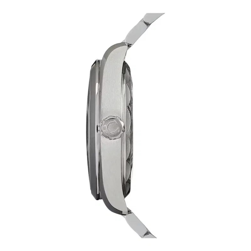 Omega Seamaster Aqua Terra. 220.10.38.20.02.002