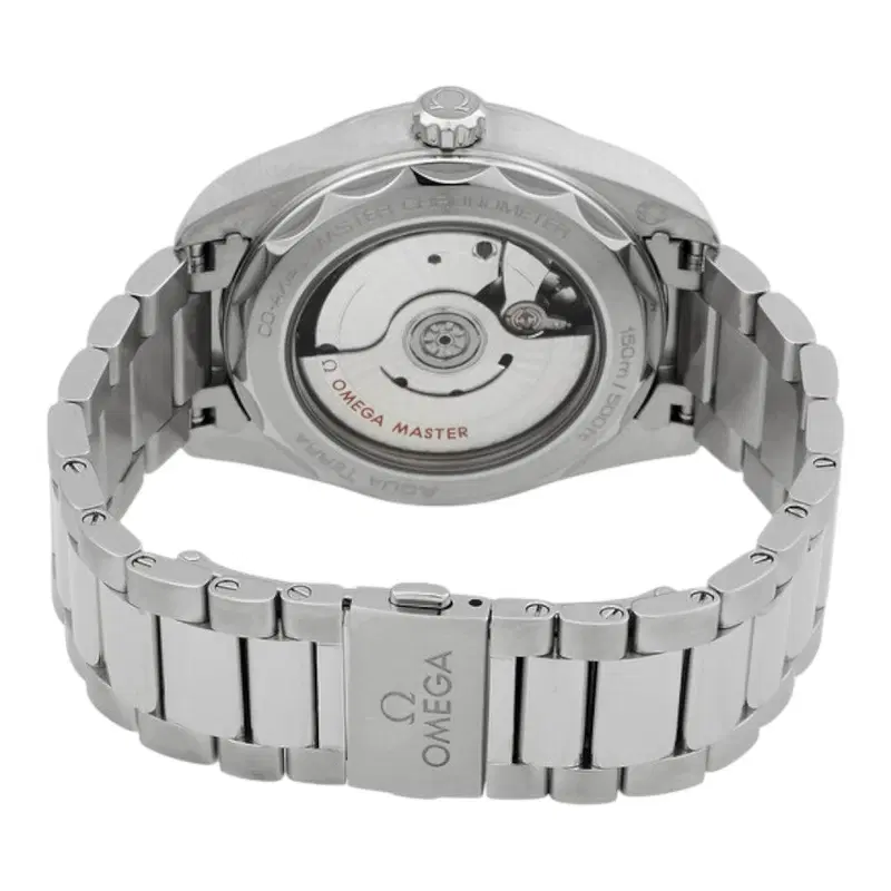 Omega Seamaster Aqua Terra. 220.10.38.20.10.001