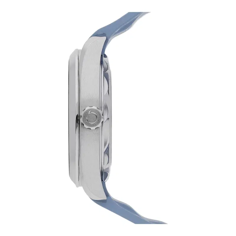 Omega Seamaster Aqua Terra. 220.12.41.21.03.008