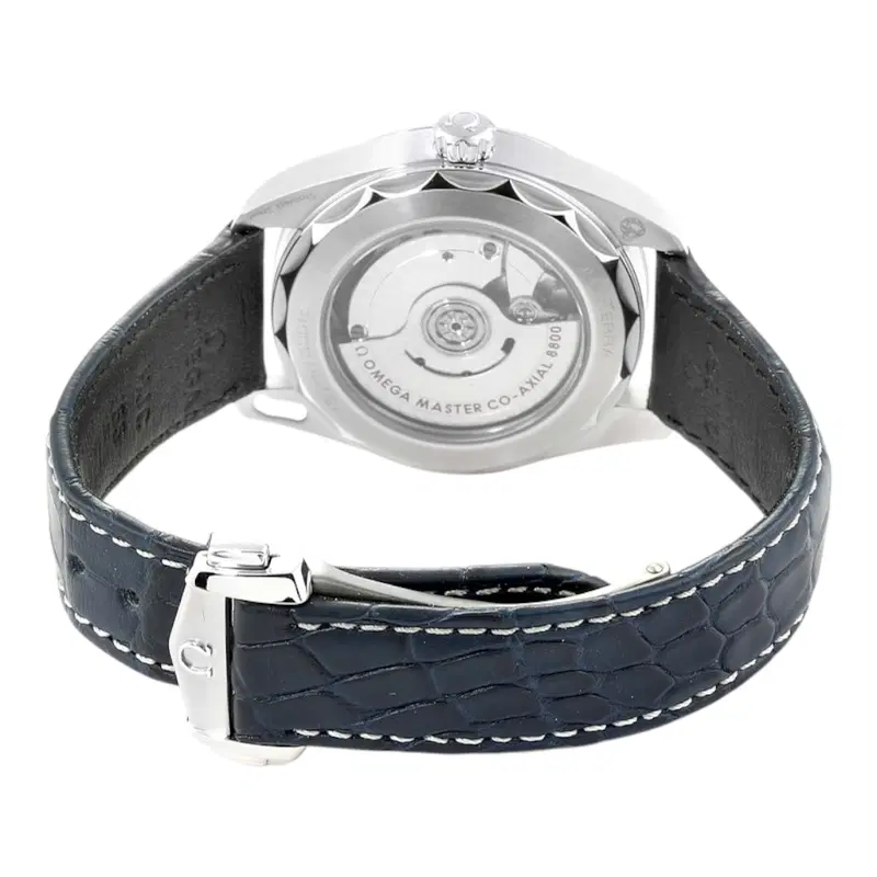 Omega Seamaster Aqua Terra. 220.13.38.20.03.001