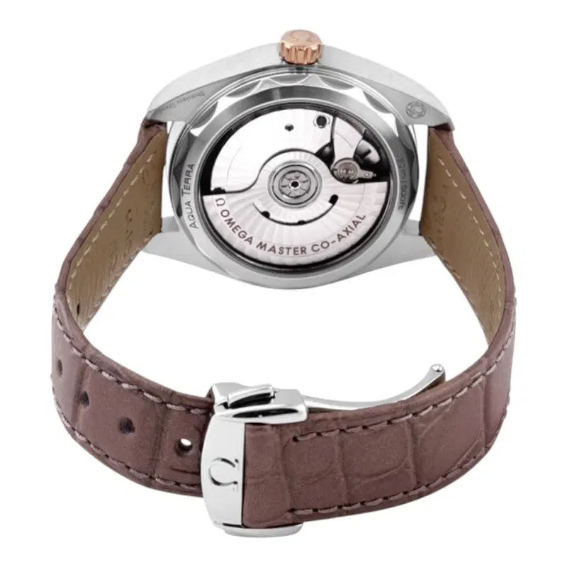 Omega Seamaster Aqua Terra. 220.23.34.20.06.001