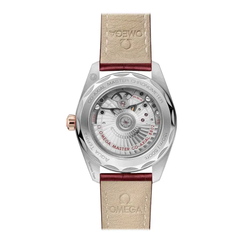 Omega Seamaster Aqua Terra. 220.23.38.20.59.001