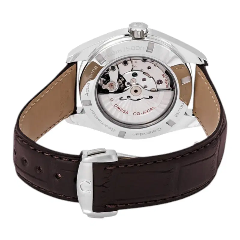 Omega Seamaster Aqua Terra. 231.13.43.22.02.003