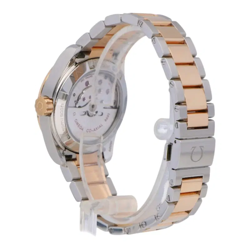 Omega Seamaster Aqua Terra. 231.20.39.22.06.001