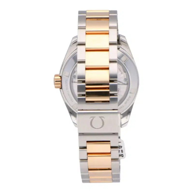 Omega Seamaster Aqua Terra. 231.20.39.22.06.001