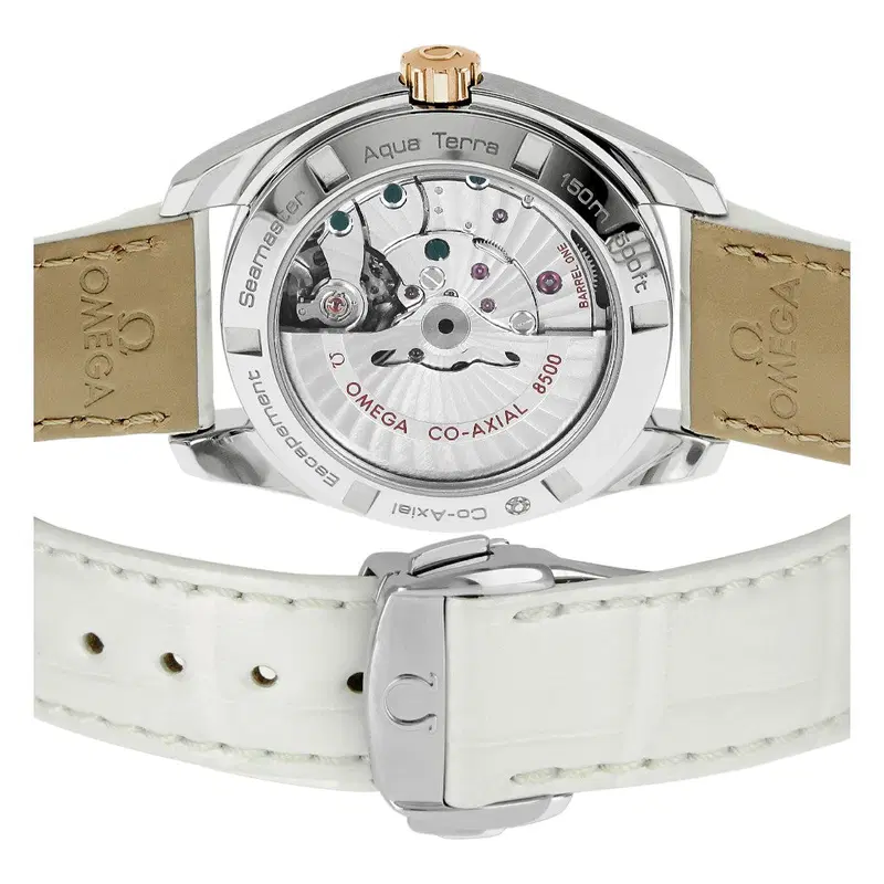Omega Seamaster Aqua Terra. 231.23.39.21.52.001