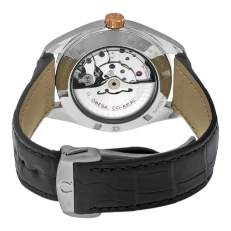 Omega Seamaster Aqua Terra. 231.23.42.21.06.003