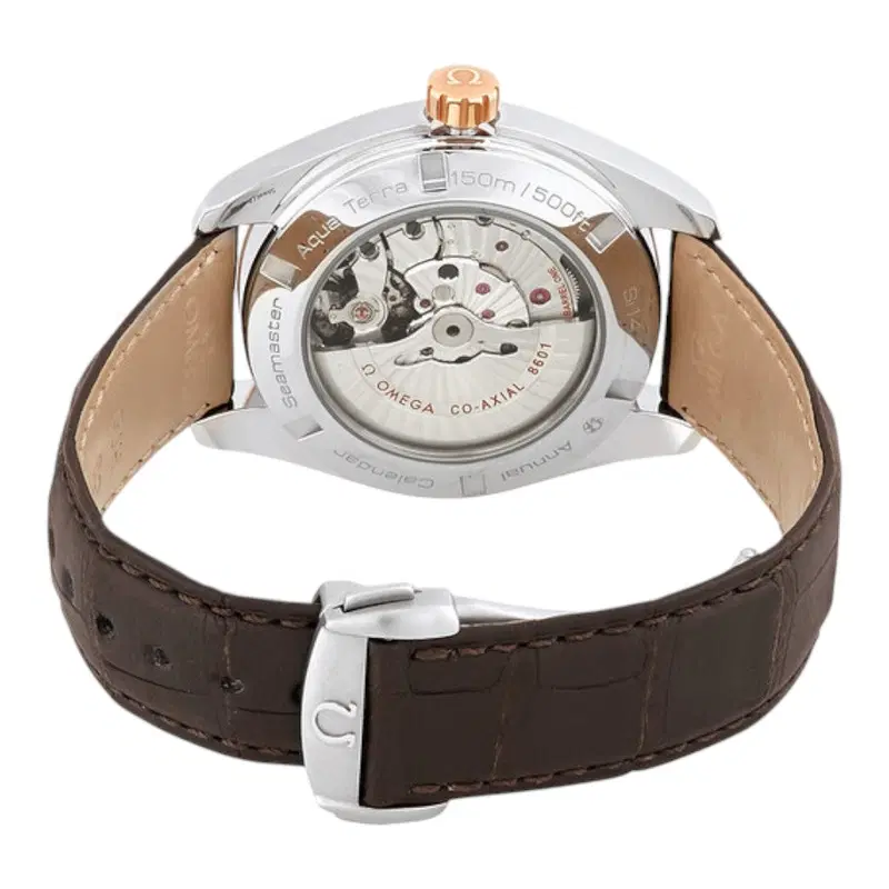 Omega Seamaster Aqua Terra. 231.23.43.22.06.002