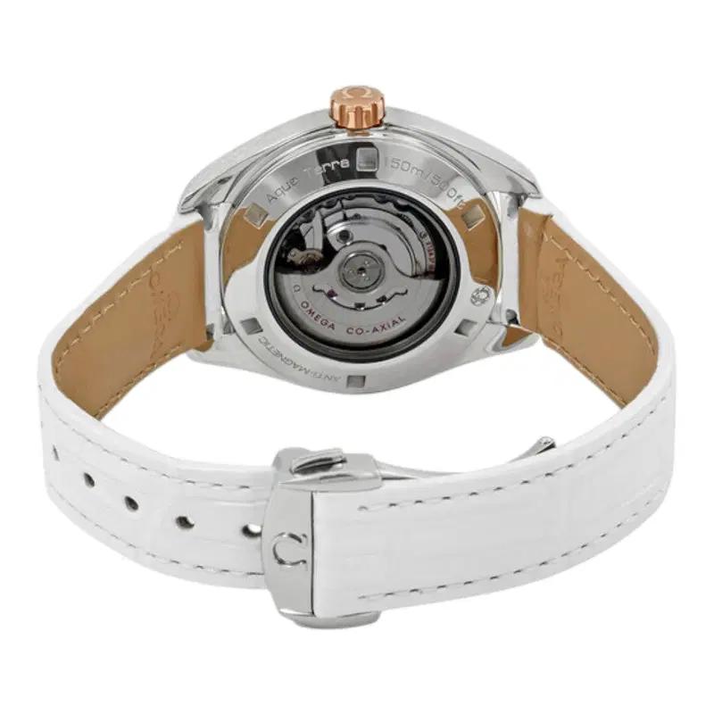 Omega Seamaster Aqua Terra. 231.28.34.20.55.003