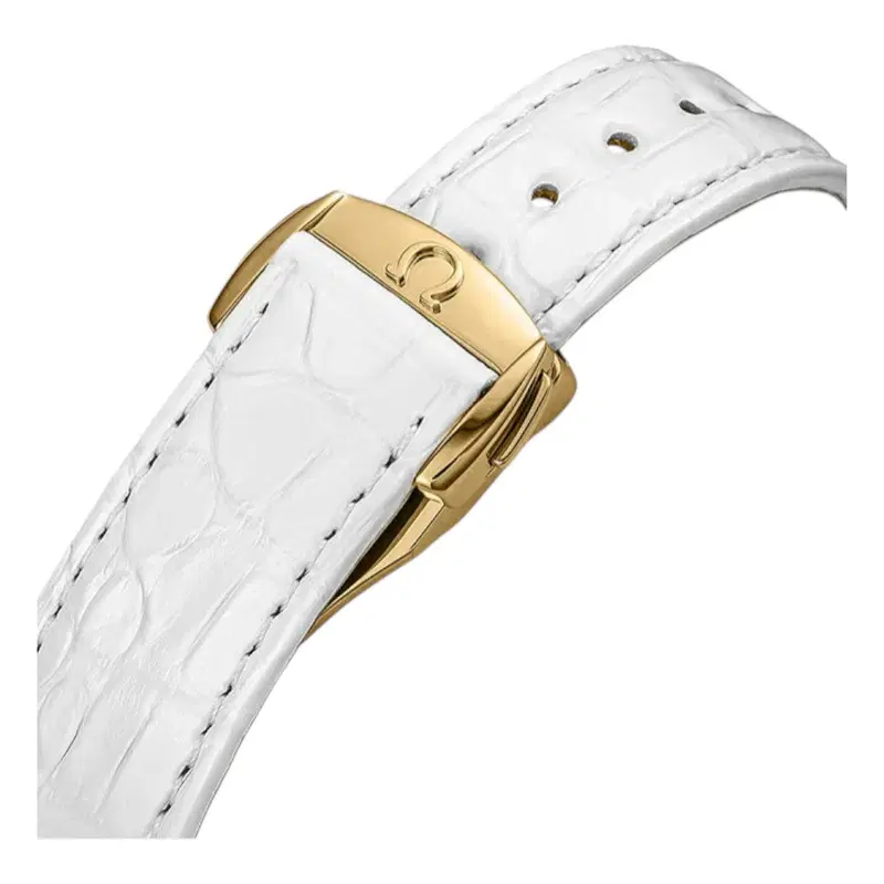 Omega Seamaster Aqua Terra. 231.58.39.21.55.002
