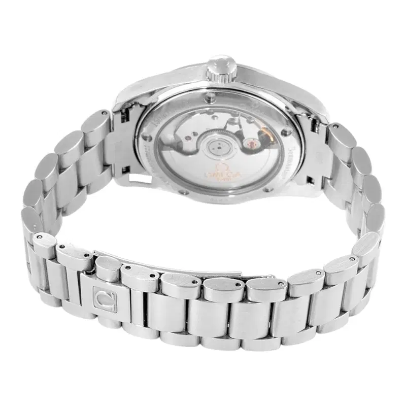 Omega Seamaster Aqua Terra. 2509.75