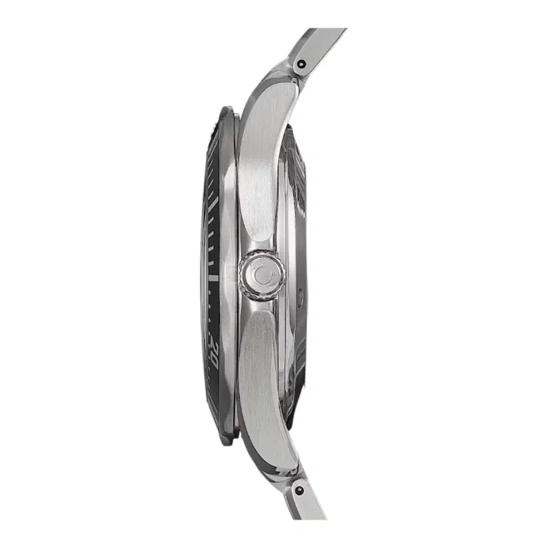 Omega Seamaster Diver 300M. 212.30.41.20.01.002