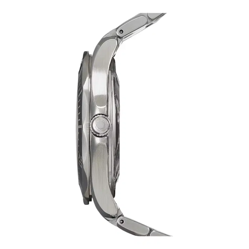Omega Seamaster Diver 300M. 2531.80