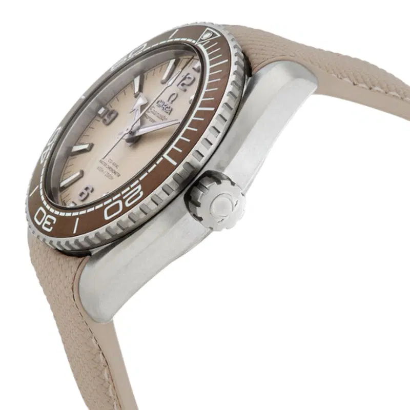 Omega Seamaster Planet Ocean 600M. 215.32.44.21.09.001