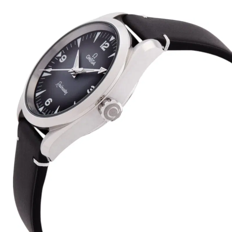 Omega Seamaster Railmaster. 235.12.38.20.06.001
