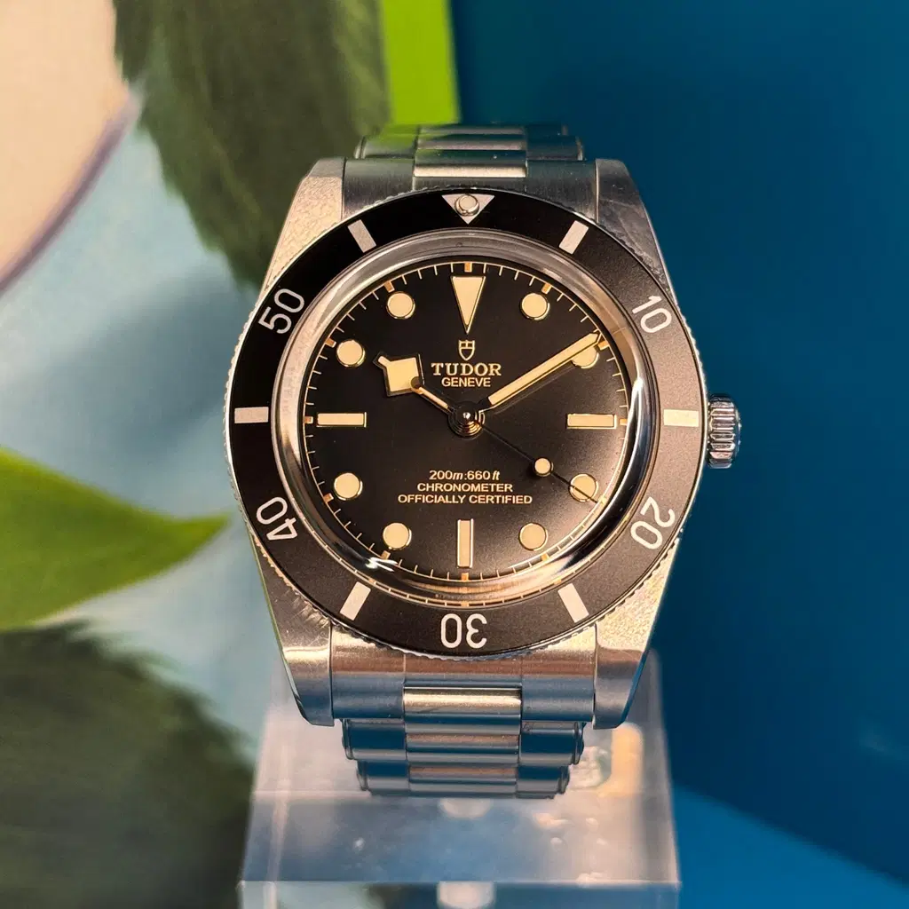 Tudor Black Bay 54. M79000N-0001