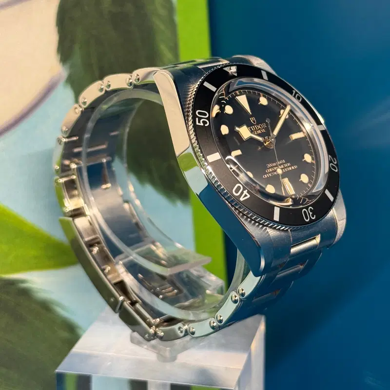 Tudor Black Bay 54. M79000N-0001