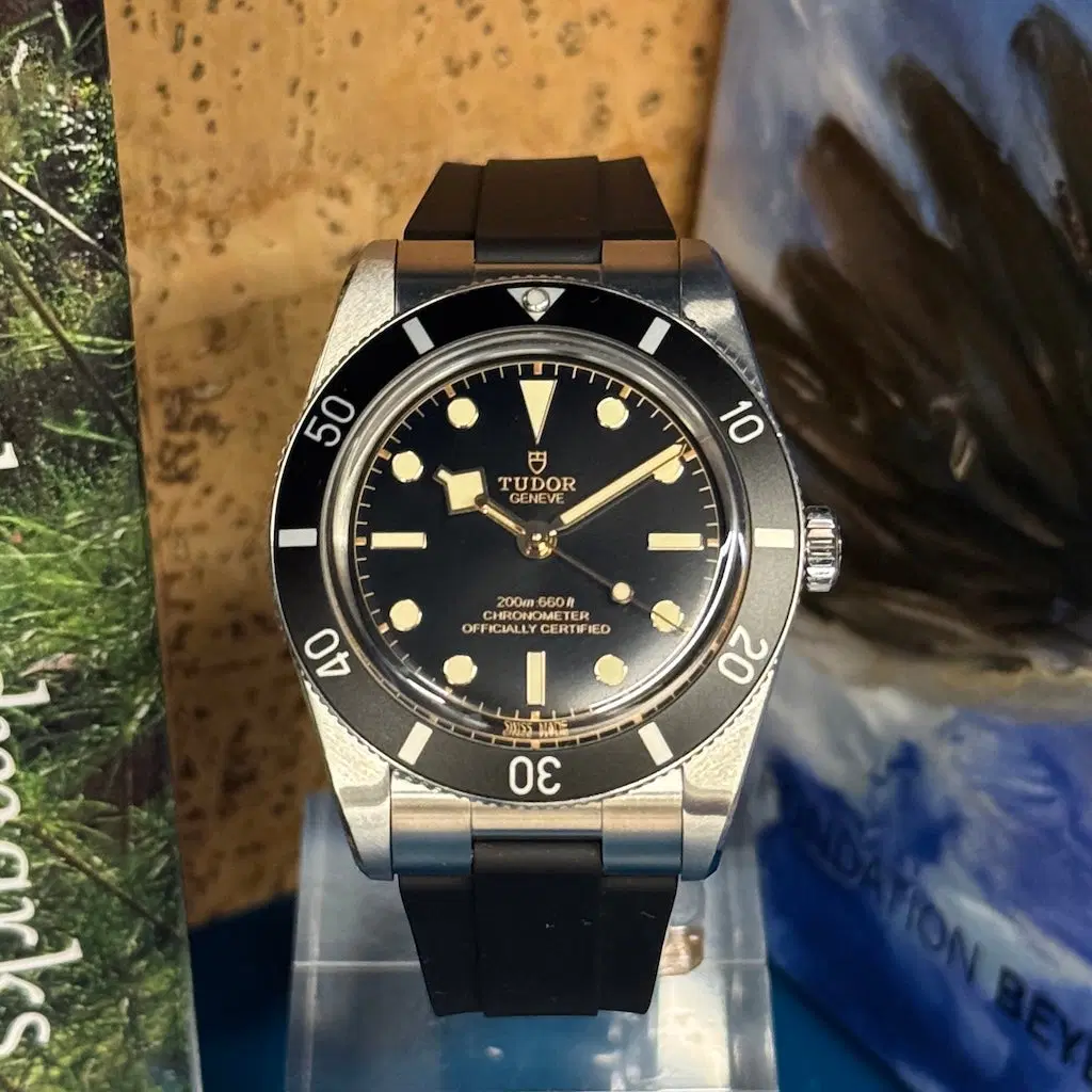 Tudor Tudor Black Bay 54. M79000N-0002