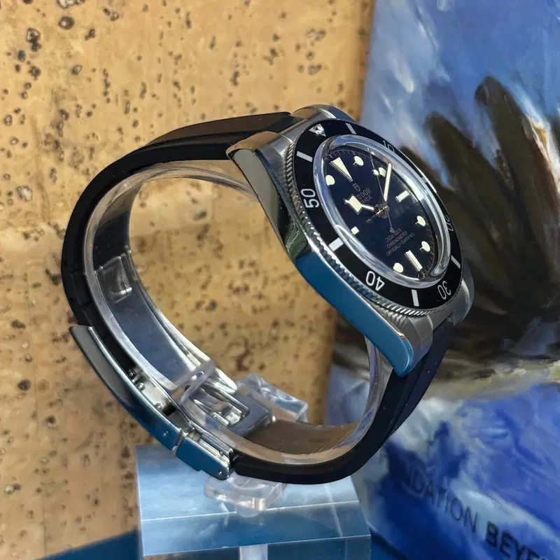 Tudor Tudor Black Bay 54. M79000N-0002