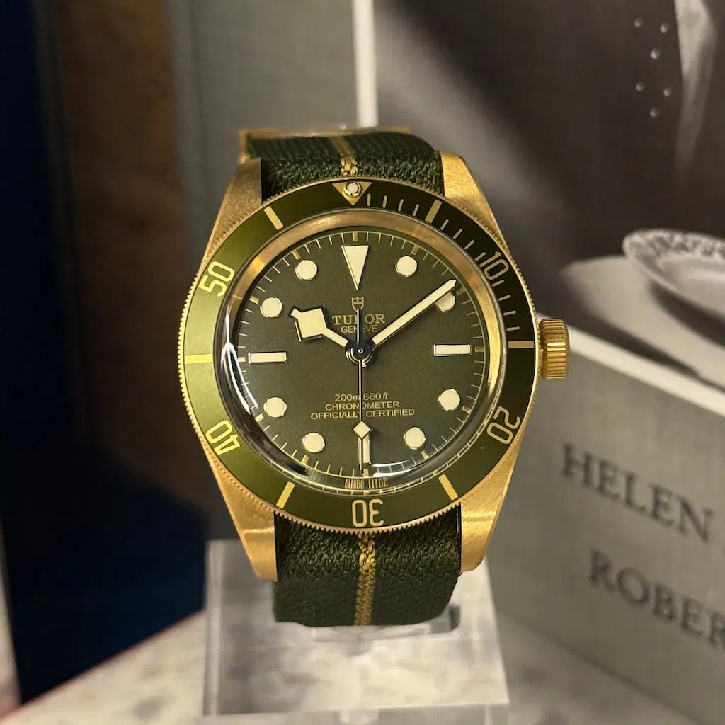 Tudor Black Bay 58. M79018V-0001