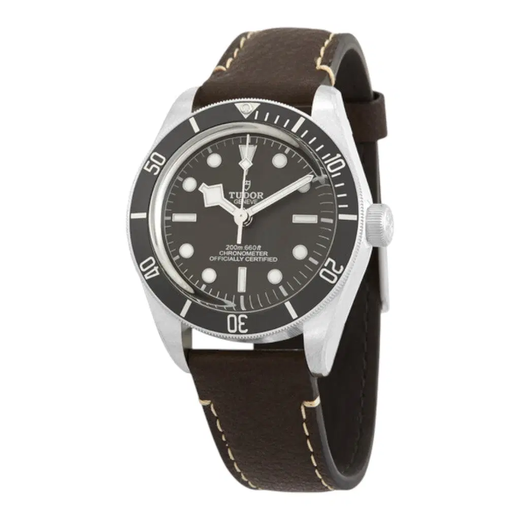 Tudor Black Bay 58 925. M79010SG-0001