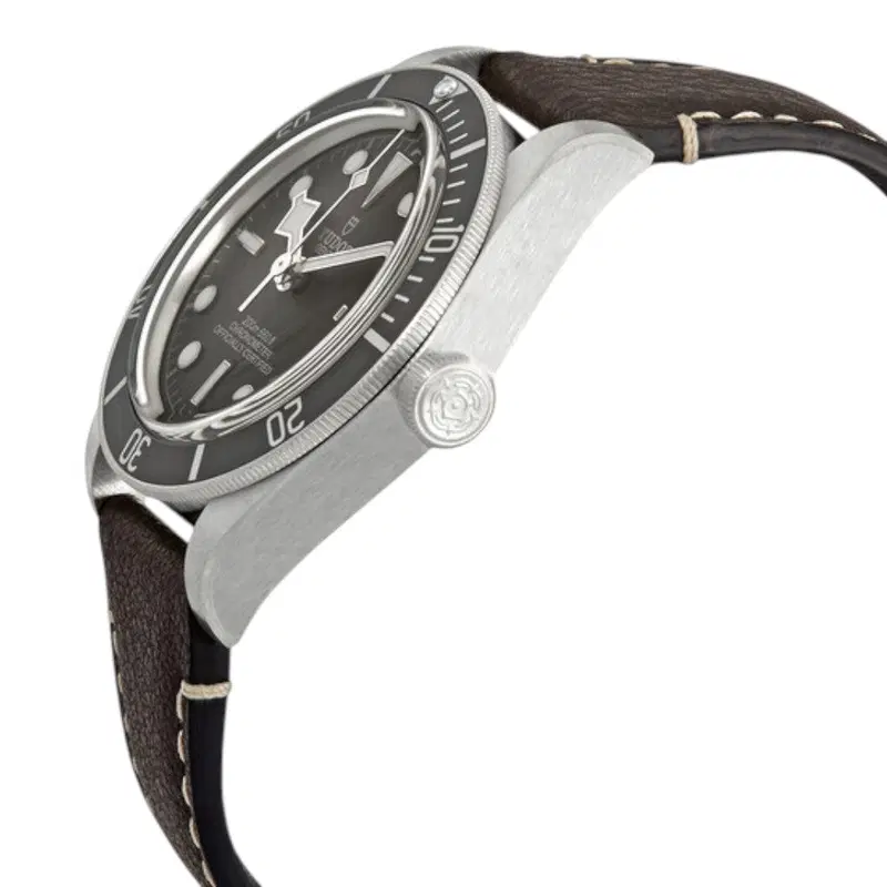 Tudor Black Bay 58 925. M79010SG-0001