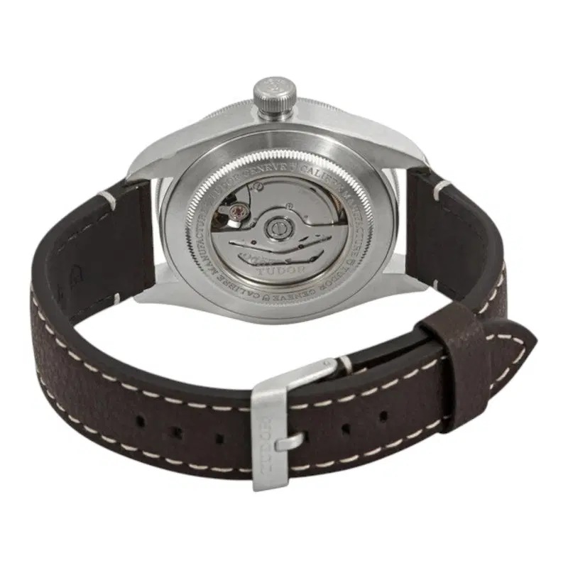 Tudor Black Bay 58 925. M79010SG-0001