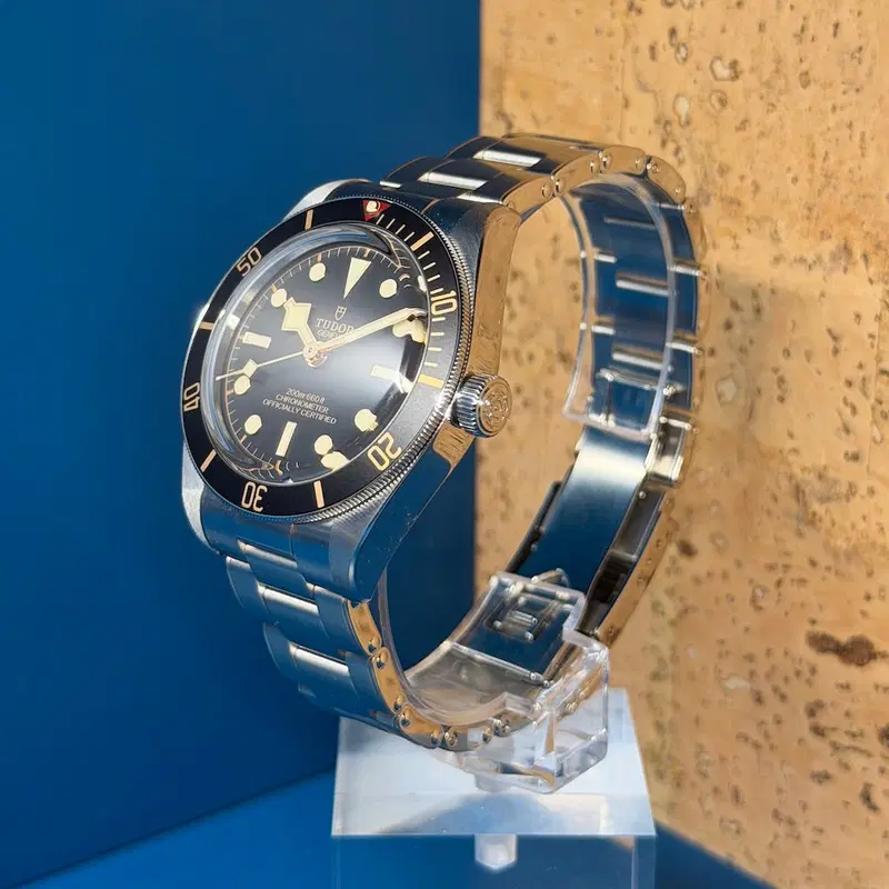Tudor Black Bay 58. M79030N-0001