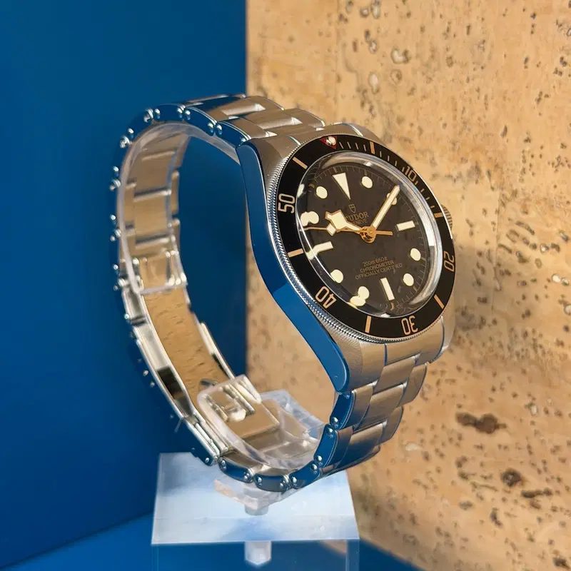 Tudor Black Bay 58. M79030N-0001