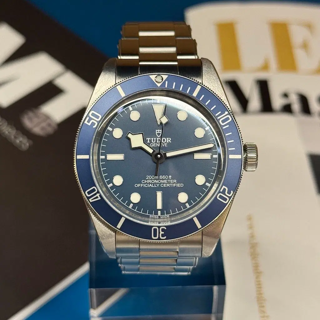Tudor Black Bay 58. M79030B-0001
