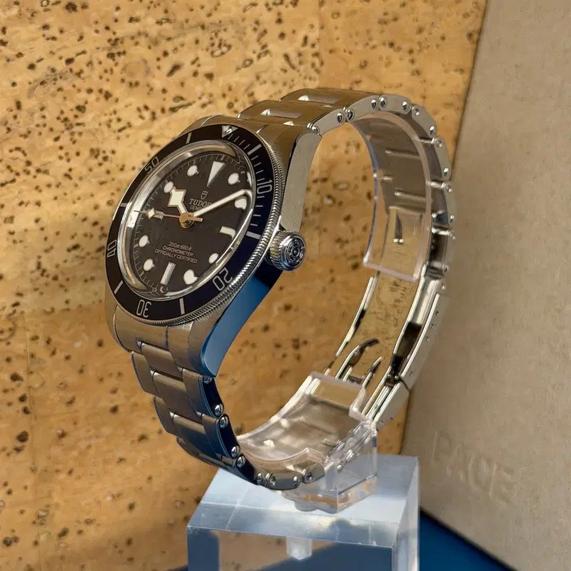 Tudor Black Bay 58. M79030B-0001