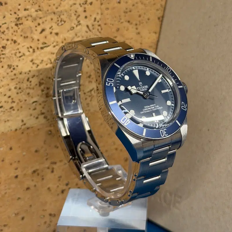 Tudor Black Bay 58. M79030B-0001