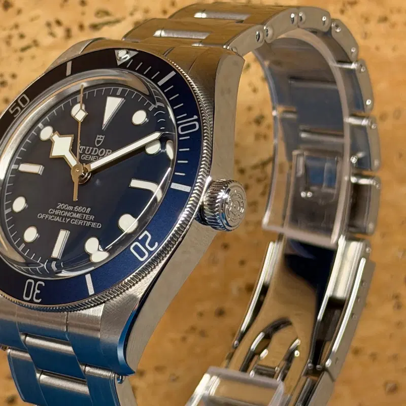 Tudor Black Bay 58. M79030B-0001