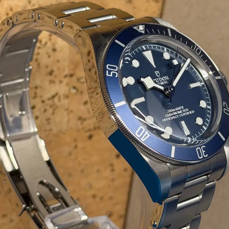 Tudor Black Bay 58. M79030B-0001