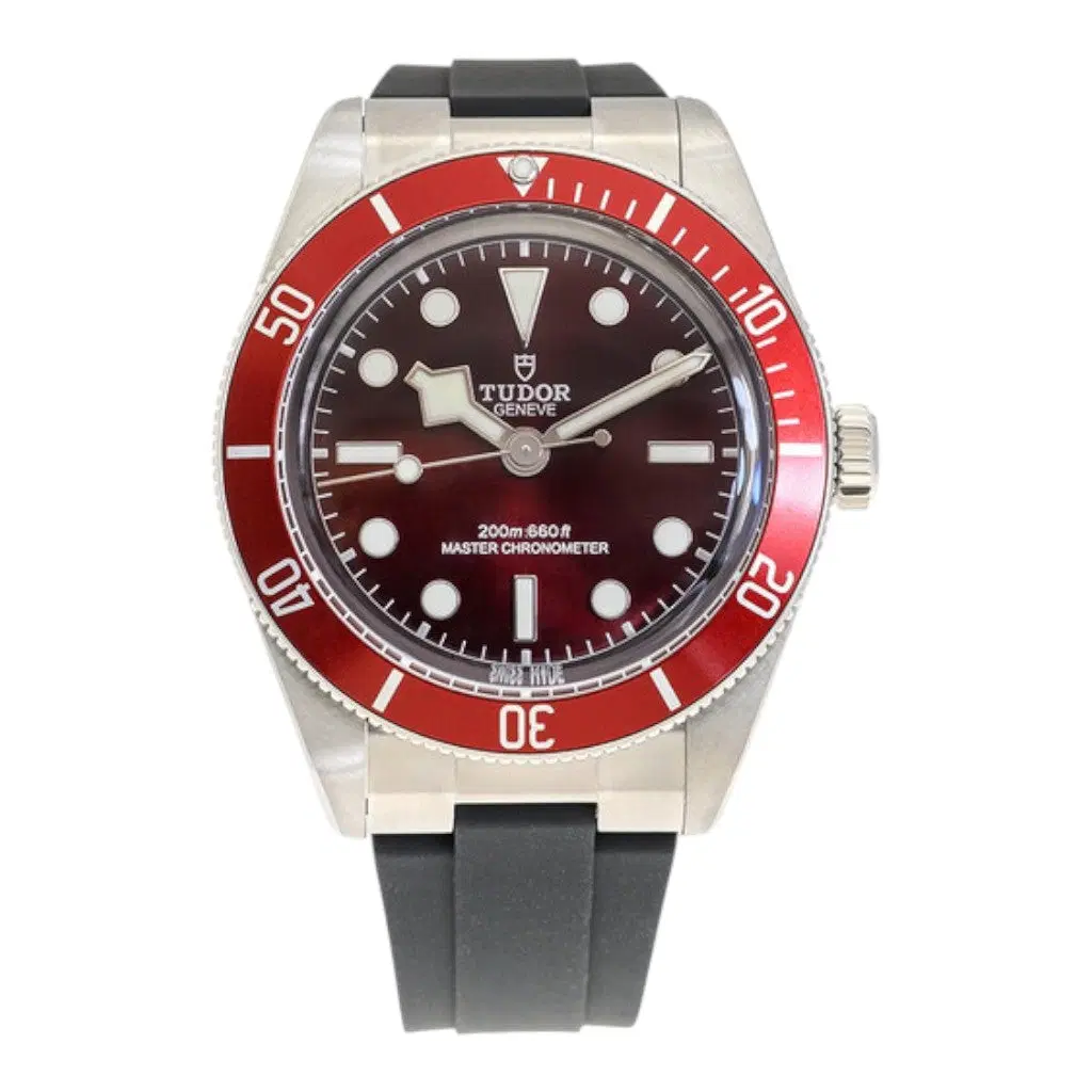 Tudor Black Bay 58. M7939A1A0RU-0003